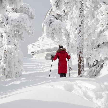 Chalets Du Domaine - De Luxe Notre-Dame-Des-Bois 외부 사진
